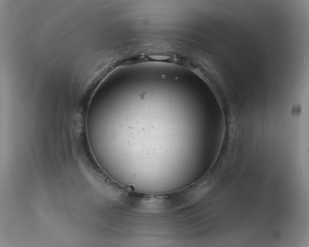 X0000111940362200907271418