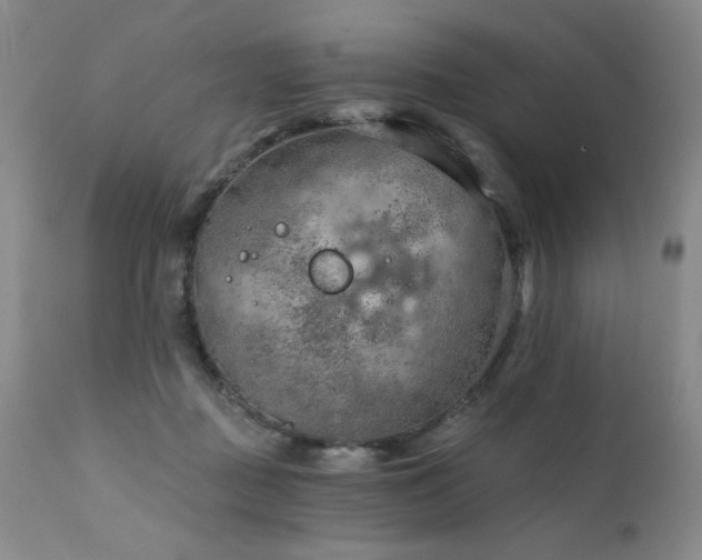 X0000111940363200907271418