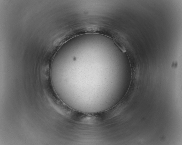 X0000111940364200907271418