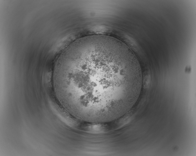 X0000111940365200907271418