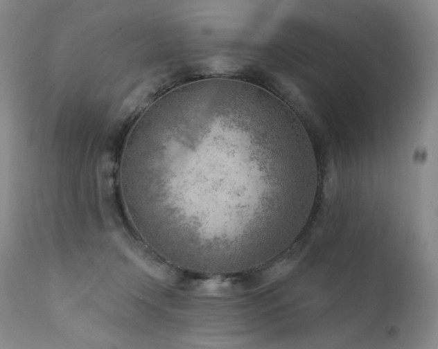 X0000111940366200907271418