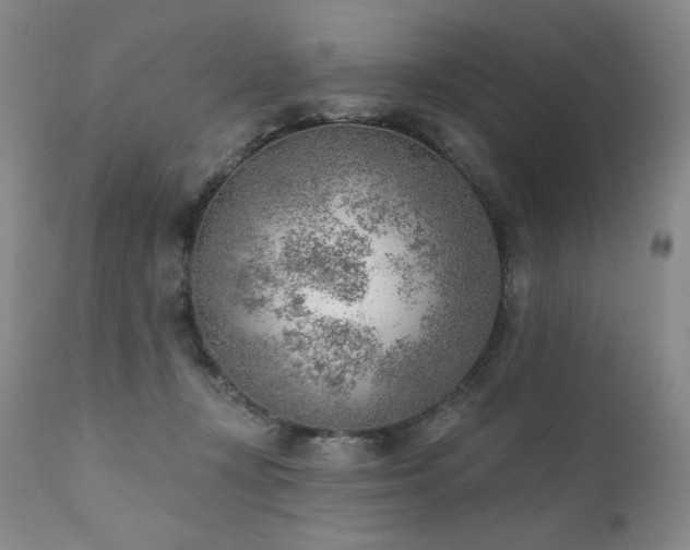 X0000111940367200907271418