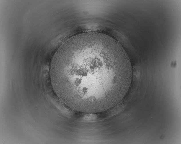 X0000111940369200907271418