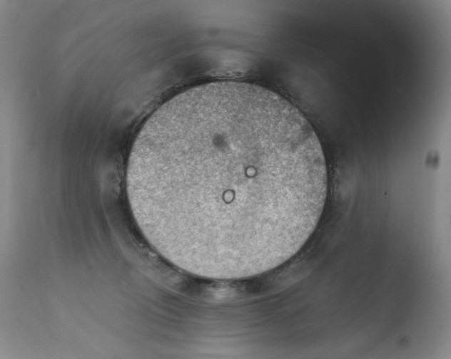 X0000111940370200907271418