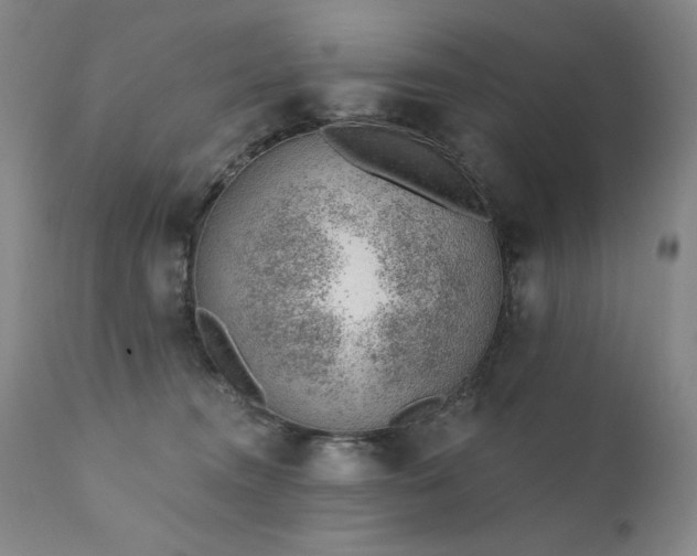 X0000111940372200907271418