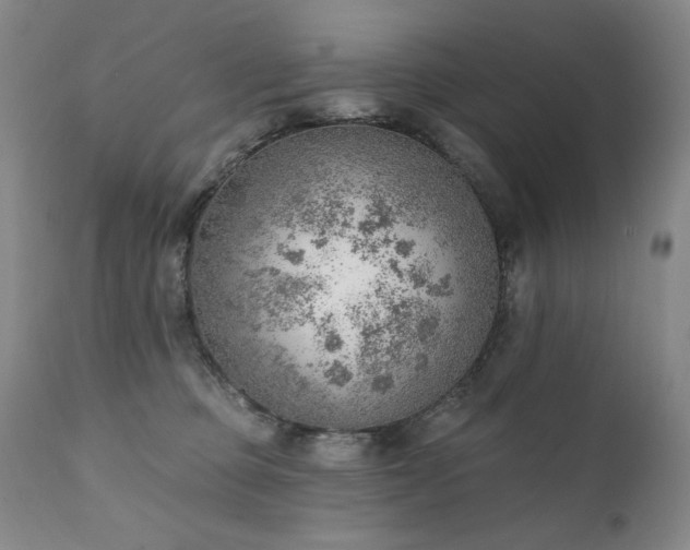 X0000111940373200907271418