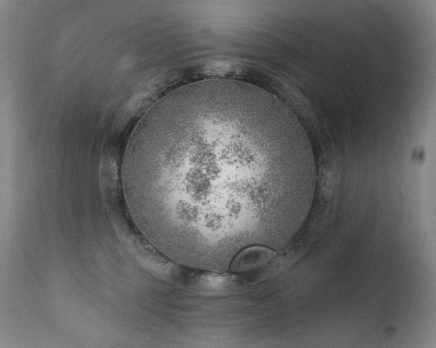 X0000111940375200907271419