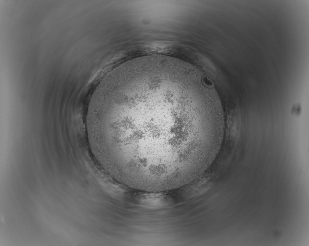 X0000111940377200907271419