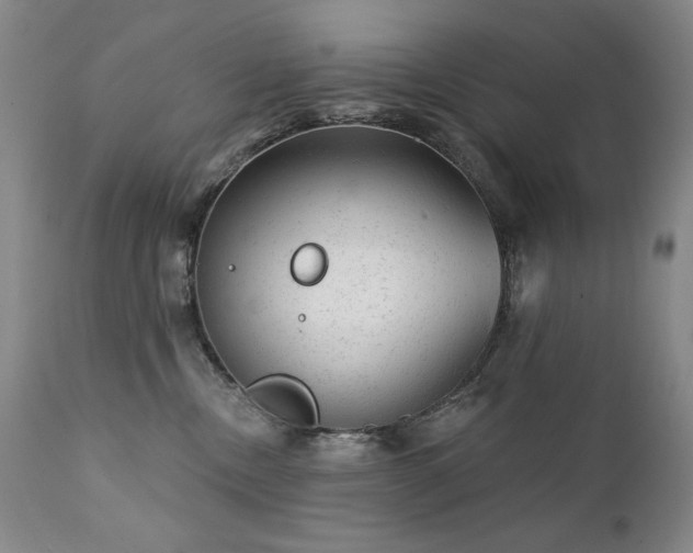 X0000111940378200907271419