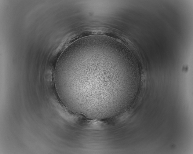 X0000111940379200907271419