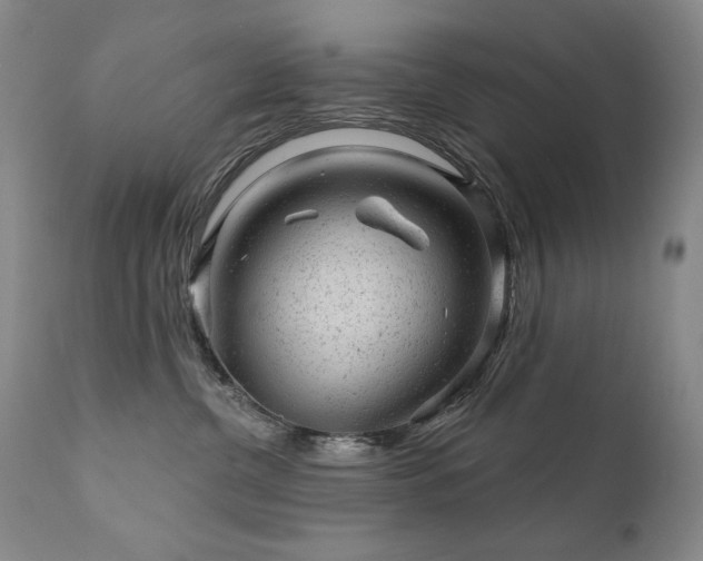 X0000111940380200907271419