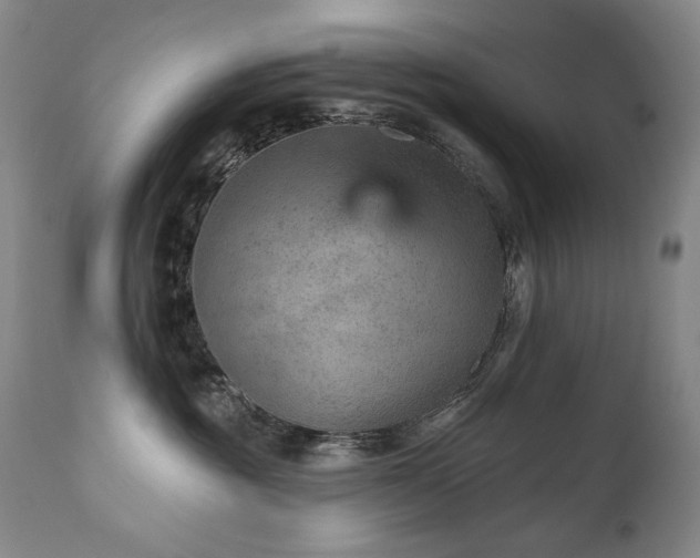 X0000111940381200907271419