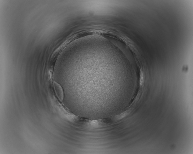 X0000111940382200907271419