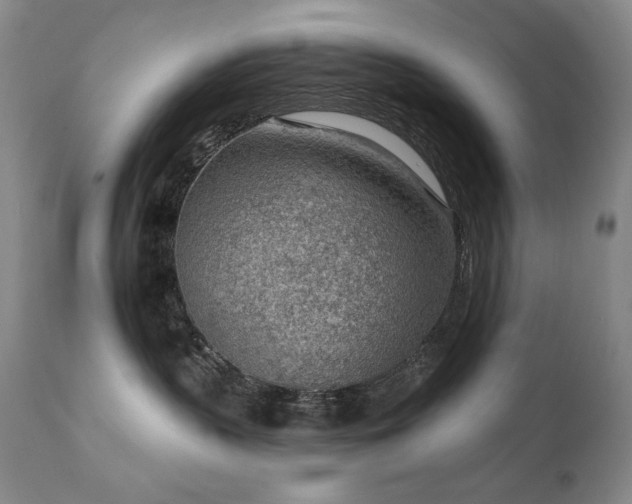 X0000111940383200907271419