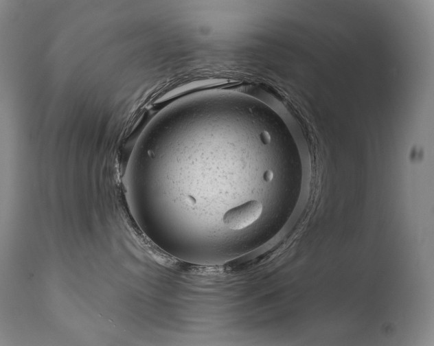 X0000111940384200907271419