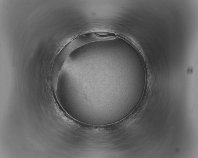 X0000111940385200907271418