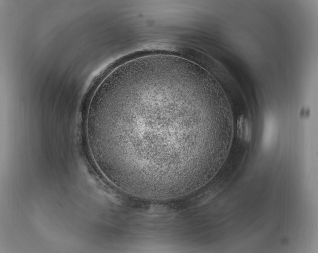 X0000111940388200907271418