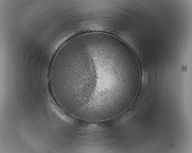 X0000111940390200907271418