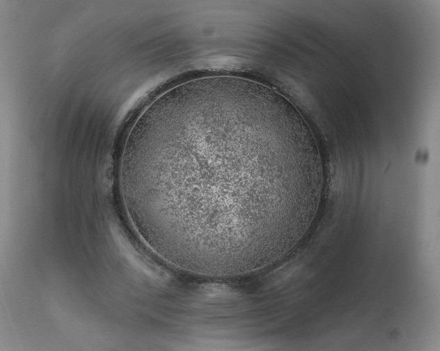 X0000111940392200907271418