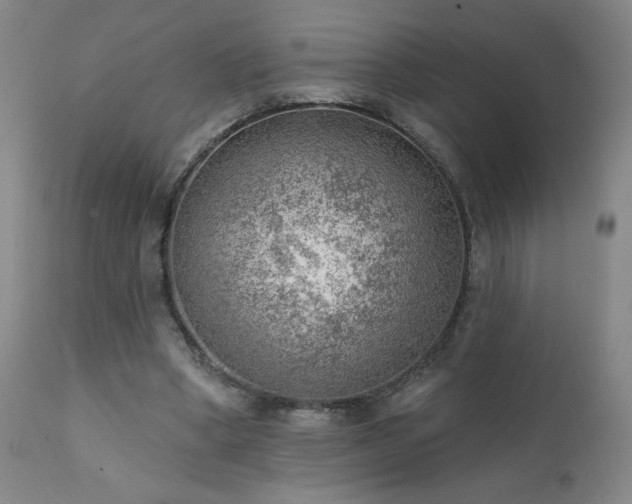 X0000111940394200907271418