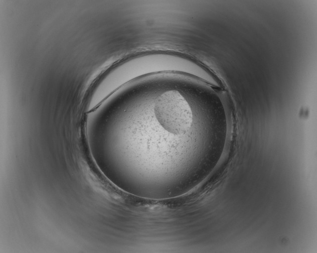 X0000111940395200907271417