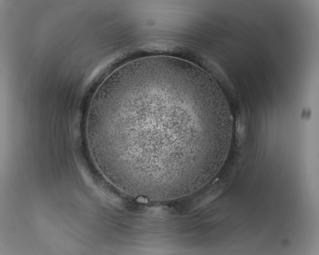 X0000111940396200907271417