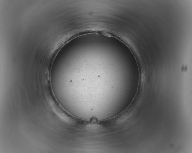 X0000111940397200907271417