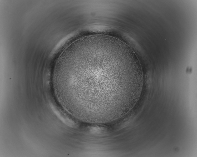 X0000111940400200907271417