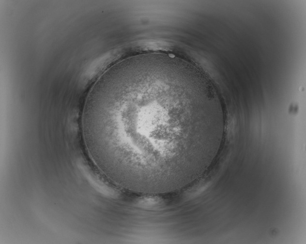 X0000111940402200907271417