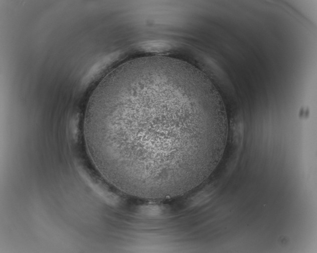 X0000111940404200907271417