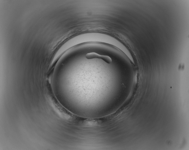 X0000111940405200907271417