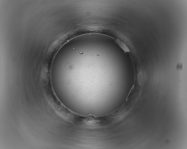 X0000111940407200907271417