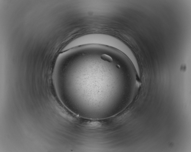 X0000111940409200907271417