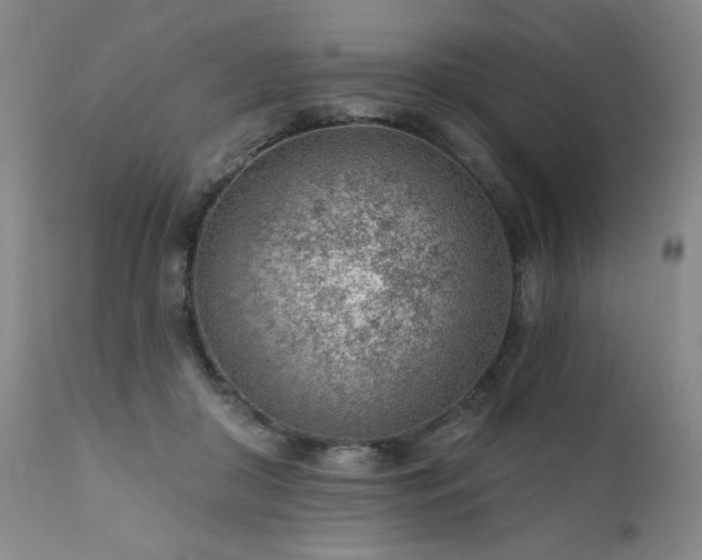 X0000111940410200907271417