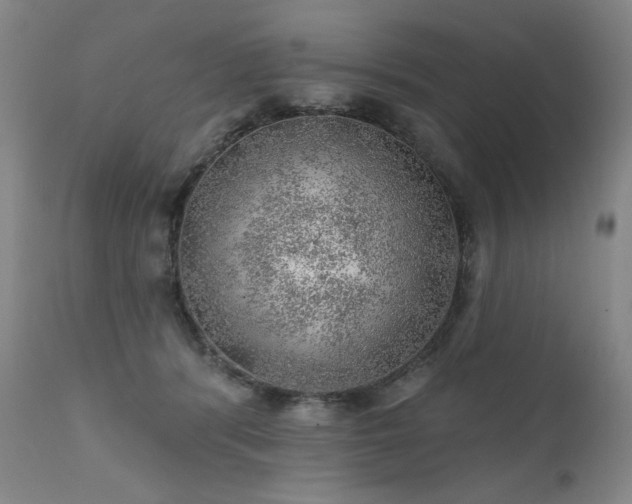 X0000111940416200907271417