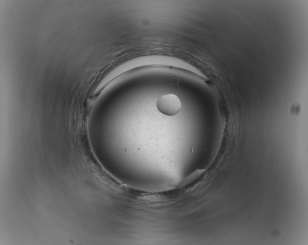 X0000111940417200907271417