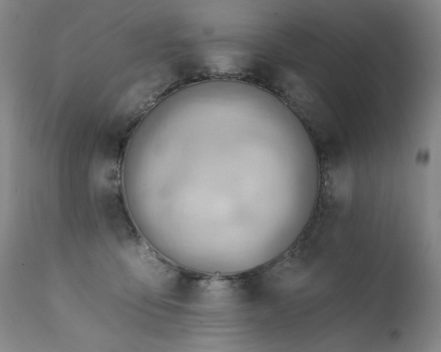 X0000111940419200907271417