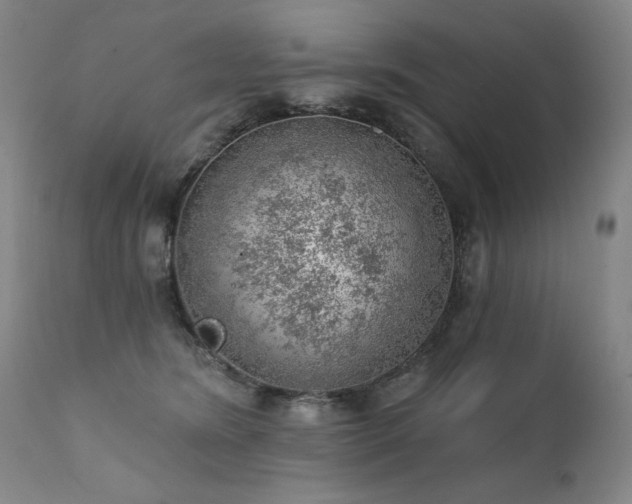 X0000111940420200907271417