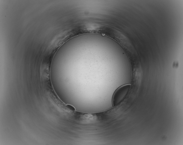 X0000111940421200907271417