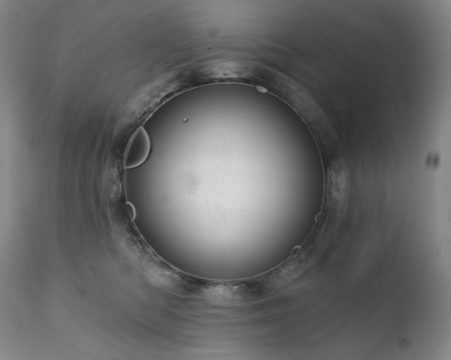 X0000111940422200907271417