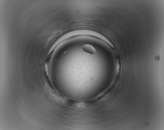 X0000111940423200907271417