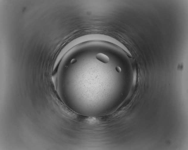 X0000111940425200907271417