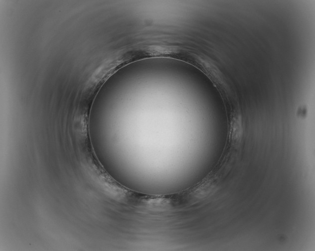 X0000111940426200907271417