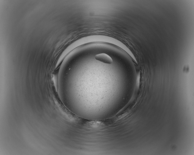 X0000111940427200907271417