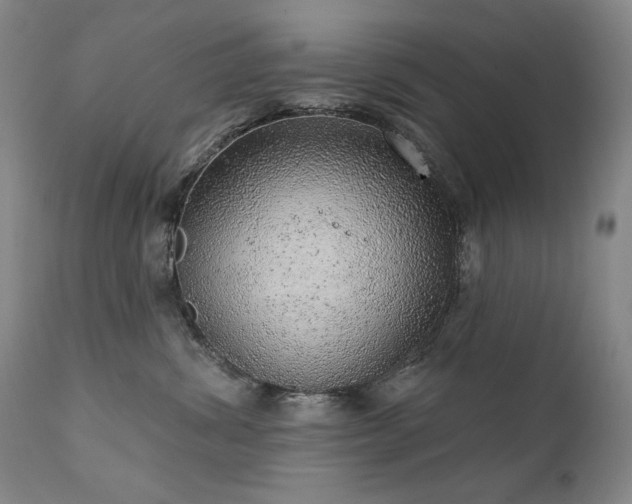 X0000111940428200907271417