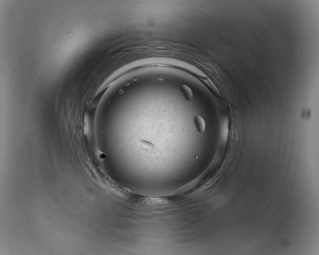 X0000111940429200907271417