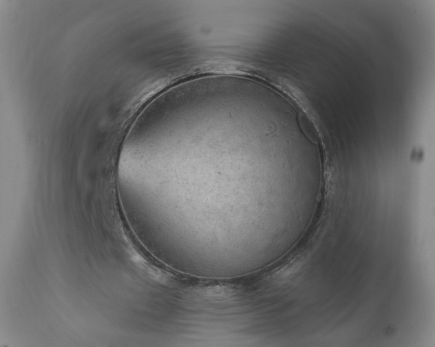 X0000111940433200907271416