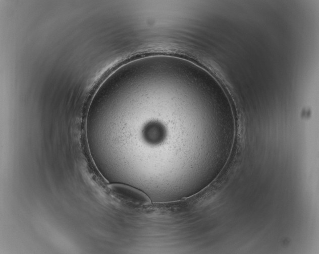 X0000111940434200907271416