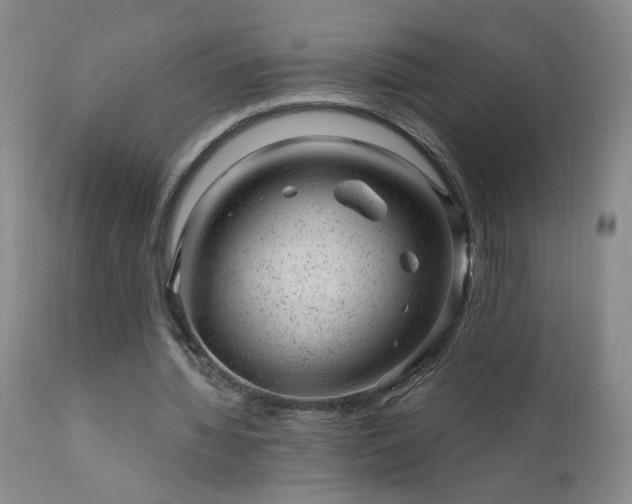 X0000111940436200907271416