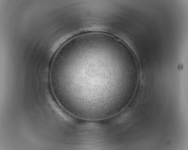 X0000111940437200907271416